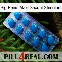 Big Penis Male Sexual Stimulant viagra1